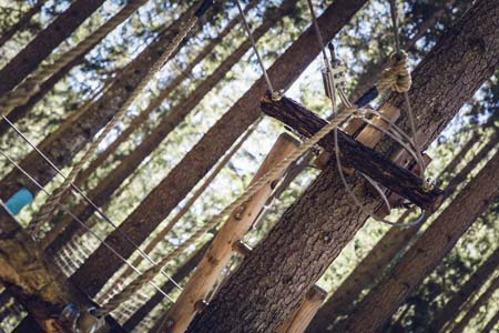 Kletterpark auf RÃ¼gen